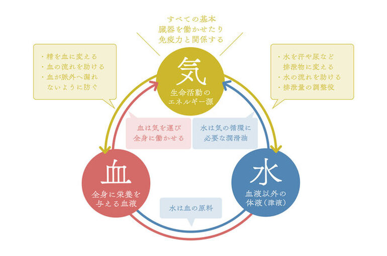 エステ　東京　東洋医学　気血水