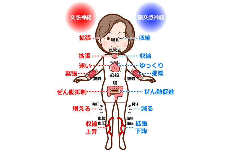 エステ　東京　スクール