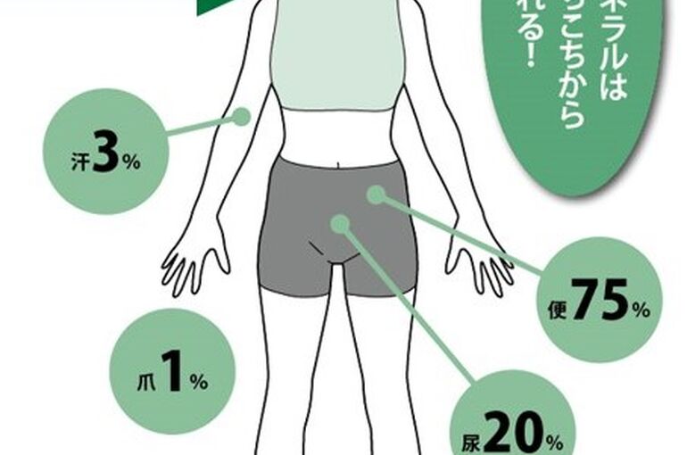 エステ　東京　スクール　ファスティング