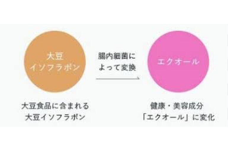 エステ　東京　スクール　更年期　更年期症状　更年期障害