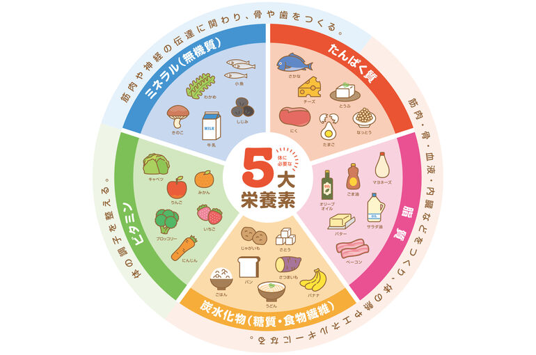 エステ　東京　スクール　栄養素　食事管理　ダイエット　ボディメイク
